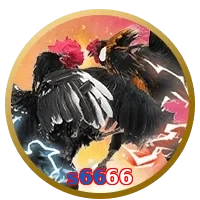 s6666