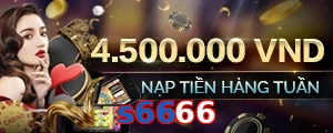 s6666